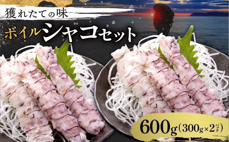 獲れたての味! ボイルシャコ 300g × 2 パック 甲殻類 魚介類 ボイル 天ぷら 鍋の具 唐揚げ パスタ アヒージョ BBQ 海鮮 冷凍 蝦蛄 お取り寄せ 北海道 余市町_Y022_0022