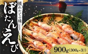 【獲れたての味！】ボタンエビ300g×3パック_Y022-0026