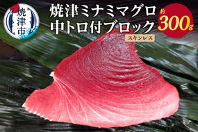 a11-049　焼津ミナミマグロ中トロ付ブロック（スキンレス）