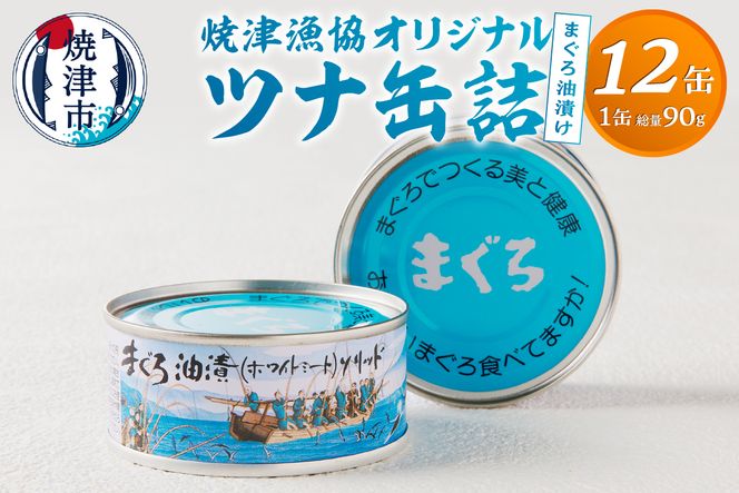 yÉĒÎsza12-163@ĒËIWiciʋli܂Ђj12ʓ