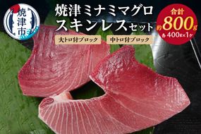 a31-011　焼津ミナミマグロスキンレスセット