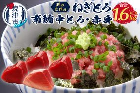 a34-005　南鮪 中トロ 赤身 計1.1kg ねぎとろ約100g×5袋 セット