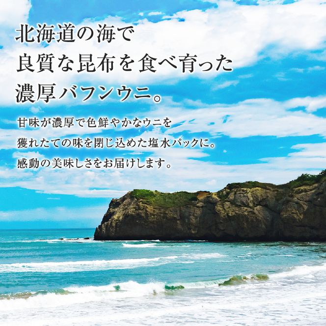 北海道産　世壱屋塩水ウニ（バフンウニ）200g_Y038-0141