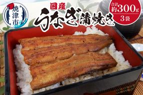 a18-029　国産 うなぎ 蒲焼き 約100g×3袋