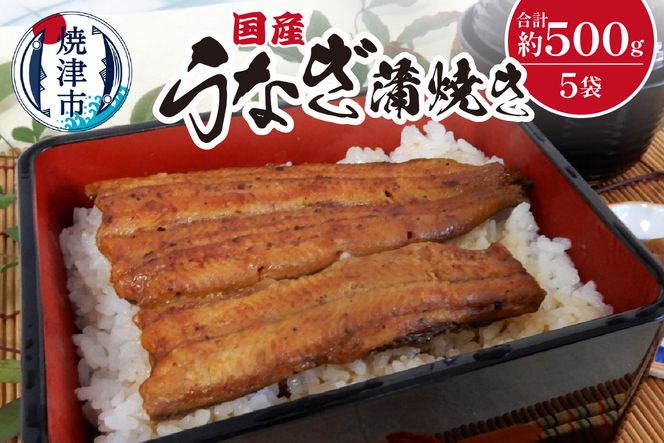 a25-024　国産 うなぎ 蒲焼き 約100g×5袋