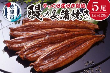 a50-085　鰻の長蒲焼き5尾詰合せ