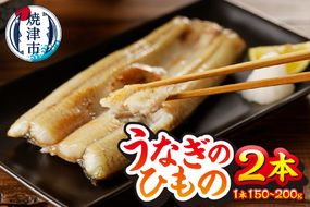 a15-647　珍しい「ウナギのひもの」【静岡産】