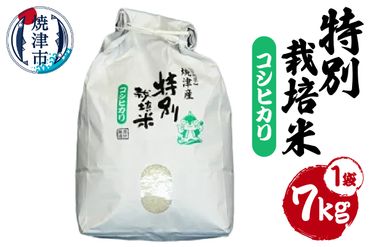 a15-216　新米 令和6年産　特別栽培米 こしひかり