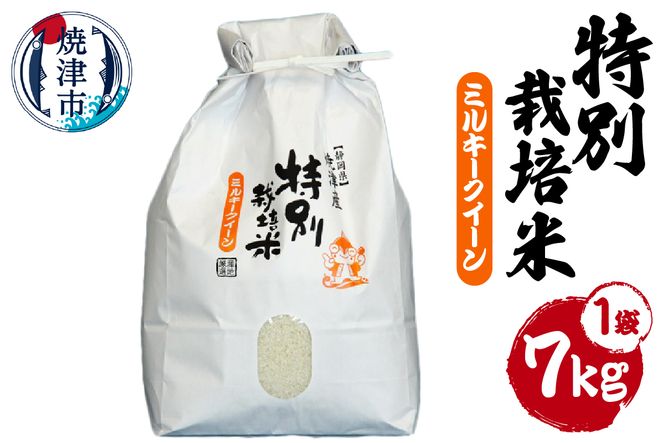 a15-217　新米 令和6年産　特別栽培米 ミルキークイーン