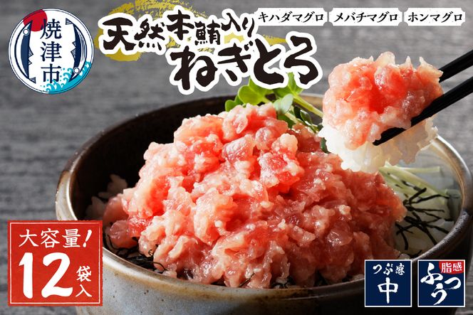 yÉĒÎsza12-200@VR{˂Ƃy80g×12pbNz