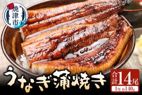 a90-001　うなぎ蒲焼き(鰻長焼き)約140g　14尾