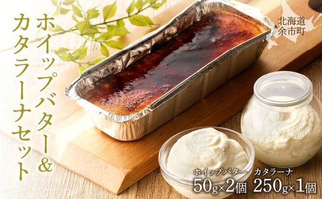 ykC]szzCbvo^[&J^[iZbg@250g×1/50g×2 zCbvo^[ ZJ^[i lߍ킹 kCY Y_Y095-0008