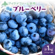 【2026年11月以降発送】冷凍ブルーベリー 500g×2袋（チャック付き袋） 北海道産ブルーベリー 余市産ブルーベリー  ブルーベリー 1kg フルーツ 冷凍フルーツ 果物__Y111-0007
