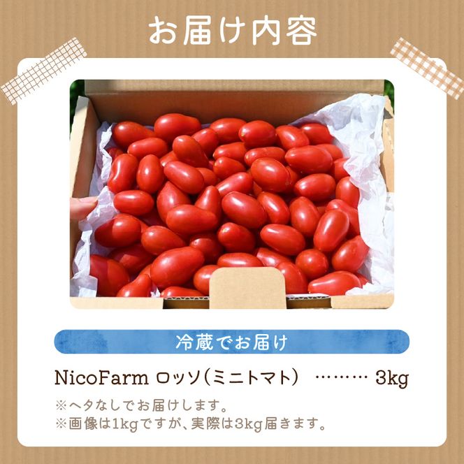 【先行予約：2026年7月下旬頃より発送】NicoFarm Nicoロッソ（ミニトマト）3Kg_Y124-0016