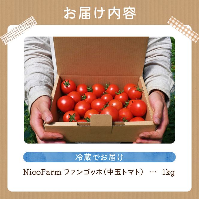 【先行予約：2026年7月下旬頃より発送】NicoFarm ファンゴッホ（中玉トマト）1Kg_Y124-0017