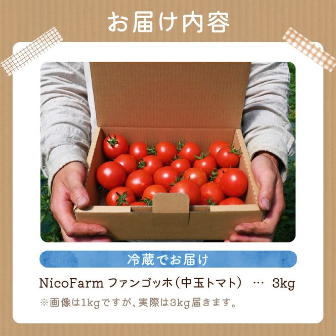 【先行予約：2026年7月下旬頃より発送】NicoFarm ファンゴッホ（中玉トマト）3Kg_Y124-0019