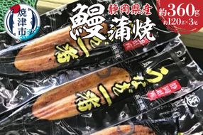 a20-129　静岡うなぎ漁協 うなぎ蒲焼(長焼)セット