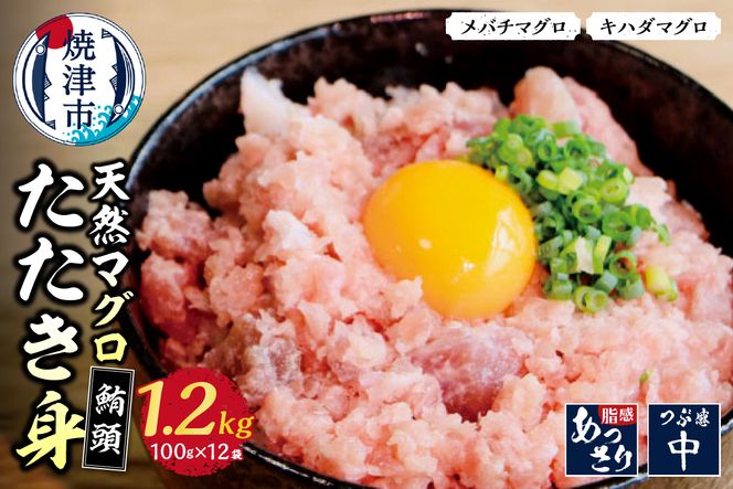 yÉĒÎsza10-100@Ē VR  lMg Zbg v 1.2Kg