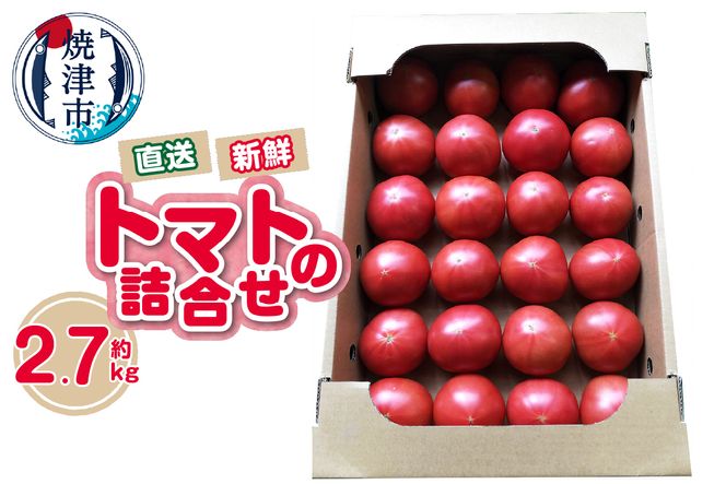 yÉĒÎsza11-120@g}g@l@2.7kg@_@@VN@_