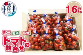 a11-122　ミニトマト　詰合せ　約1.6kg　農園　直送　新鮮　農家