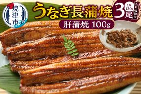 a20-445　うなぎ120ｇ長蒲焼×3、肝蒲焼100ｇ×1、たれ（山椒）、吸物セット