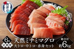 b20-035　【定期便6回】キボシ水産 天然 南鮪 大トロ 中トロ 赤身食べ比べ 約1kg×6回【定期便】