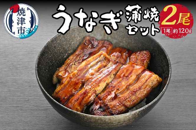 a15-435　うなぎ 蒲焼 セット 約120g×2尾 海鮮うなぎ専門店 銀鮮