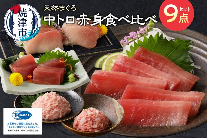 yÉĒÎsza20-365@}O g Ԑg ˂Ƃ S6