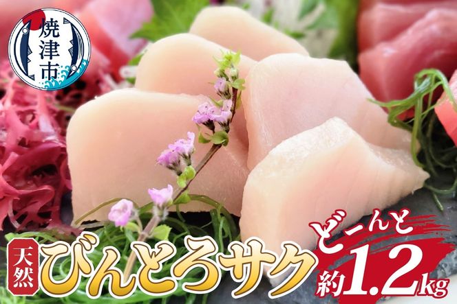 yÉĒÎsza10-1048@VRтƂTN 1.2kgƖp