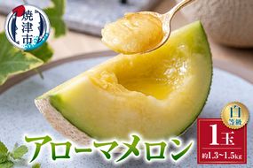 a16-148　メロン 温室 アローマ 果物 ハウス 白等級 1玉 GABA