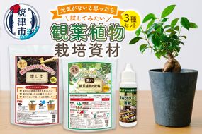 a12-170　観葉植物栽培資材セット 肥料 液肥 園芸