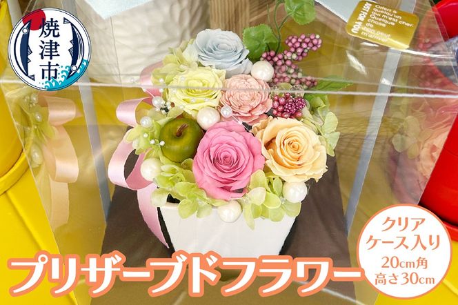 yÉĒÎsza17-068@vU[uht[yNAP[Xz