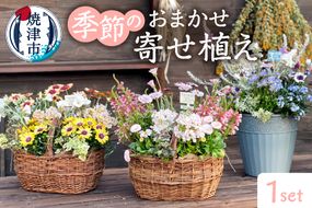 a21-055　季節のおまかせ寄せ植え