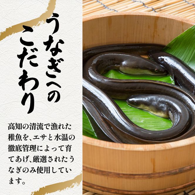 ～四国一小さなまち～ きざみうなぎ蒲焼 80g×18P 約1440g カット済み 蒲焼き かば焼き 鰻 ウナギ ふっくら おいしい おかず お茶漬け 惣菜 養殖 国産 簡単 手軽 調理済み