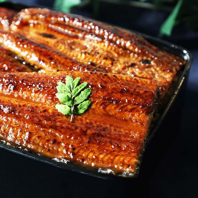 鰻 きざみうなぎ(80g×6P)+蒲焼き1尾 カット済み 蒲焼 蒲焼き かば焼き 刻み 鰻 ウナギ ふっくら おいしい おかず お茶漬け 惣菜 養殖 国産 簡単 調理済み お取り寄せ ひつまぶし うな