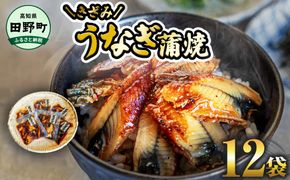 ～四国一小さなまち～ きざみうなぎ蒲焼 80g×12P 約960g カット済み 蒲焼き かば焼き 鰻 ウナギ ふっくら おいしい おかず お茶漬け 惣菜 養殖 国産 簡単 手軽 調理済み