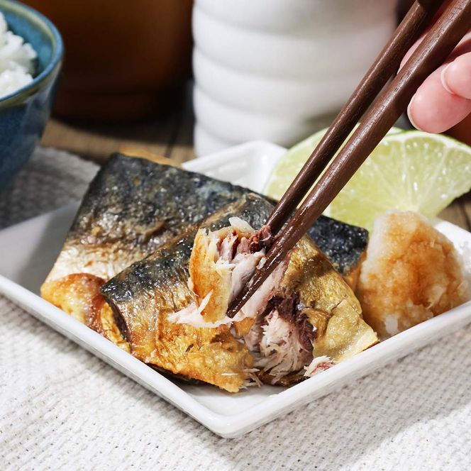 焼魚 4種食べ比べ(さば＋鮭＋旬の魚2種) 計8袋 鯖 サバ さけ サケ 秋鮭 焼き魚 レンジ 魚 魚介類 海鮮 国産 簡単 時短 おかず おつまみ 和食 惣菜 食品 お取り寄せ
