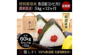 【令和8年産】定期便！農家直送！県認証特別栽培魚沼産コシヒカリ【合計60kg】毎月5kg×12回 精米 ご飯 ブランド米 銘柄米