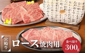 ＜宮崎牛ロース焼肉用300g＞ K01_0006_1