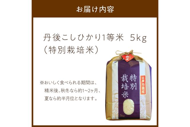 令和8年産 丹後こしひかり 特別栽培米 5kg　MU00092