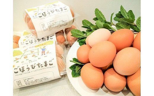 碧南DELIシリーズ 無添加トマトベーコンキッシュ 2個 惣菜 おかず 洋食 トマト ベーコン 野菜 キッシュ 卵 無添加　H080-059