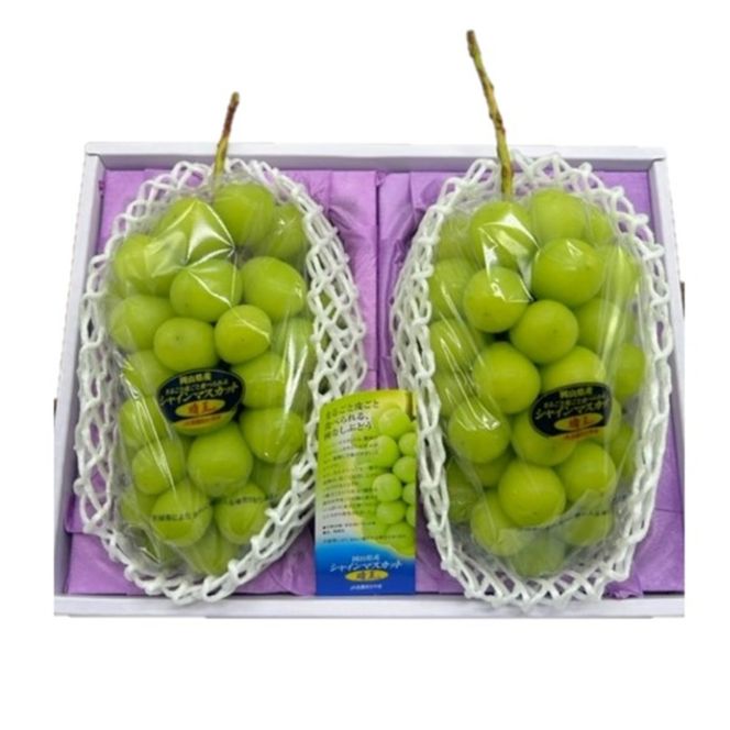 ぶどう 2026年 先行予約 シャインマスカット 晴王 2房  1房約480g 化粧箱入り  岡山県 赤磐市産 果物 フルーツ 葡萄 ブドウ