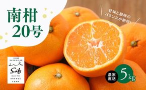 【先行予約】Saito Orange Farmの南柑20号5kg ｜ 温州みかん 代表 柑橘 みかん ミカン フルーツ 果物 愛媛　※離島への配送不可　※2024年12月上旬頃より順次発送予定