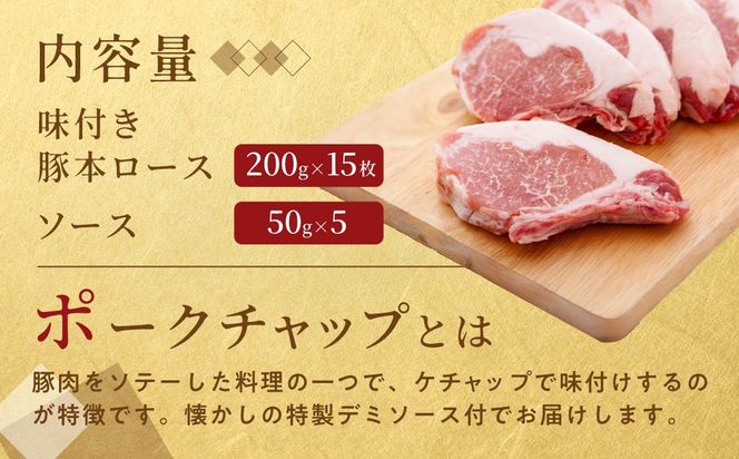 カネカン竹内 ポークチャップ（懐かしの特製デミソース付）200g×15枚 MROA126