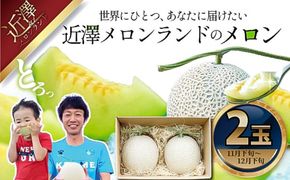 【先行予約】メロン 2玉入り（1玉約1.4kg～1.8kg）青肉 〈2026年11月下旬～12月末頃発送〉 メロン めろん マスクメロン 舐瓜 果物 くだもの フルーツ デザート 旬【株式会社とさもん】[BQAE023]