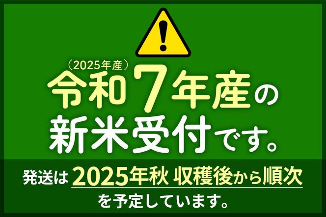 ※令和7年産 新米予約※《定期便10ヶ月》秋田県産 あきたこまち 30kg【白米】(5kg小分け袋) 2025年産 お届け周期調整可能 隔月に調整OK お米 藤岡農産|foap-11010