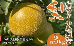 【100年以上続く梨産地】加賀・小塩辻の梨 約3kg ナシ なし くだもの 果物 フルーツ ご当地 食品 F6P-3358