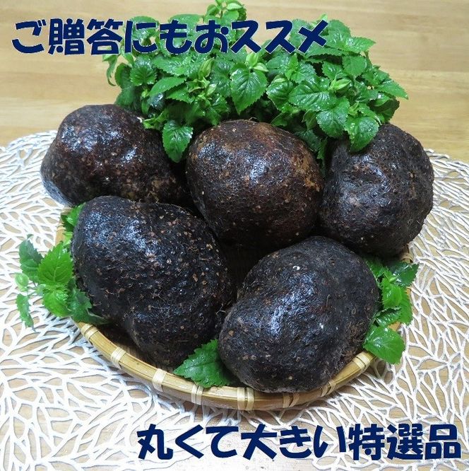 【芋家なか吉】スペシャル丹波山の芋☆二刀流☆セット (11月収穫プレミアム特選品つくね芋)｜京都 人気 やまいも［ 京都 山の芋専門店 職人 とろろ 芋 いも イモ 野菜 3kg 人気 おすすめ お取り寄せ 通販 送料無料 ふるさと納税 ］ 261009_B-SG09