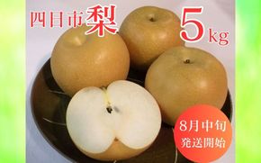 【先行予約】水谷さんが真心こめて育てた梨 5kg
