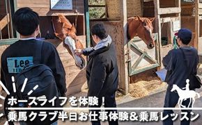 159-2057-03　ホースライフを体験！乗馬クラブ半日お仕事体験＆乗馬レッスン【 体験 レッスン 神奈川県 大磯町 】